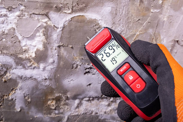 Best Crawl Space Mold Removal  in Pine Ridge, PA
