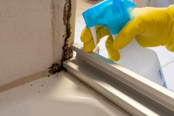 Best Office Mold Removal Services  in Pine Ridge, PA